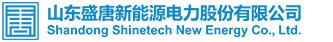 山东盛唐新能源电力股份有限公司